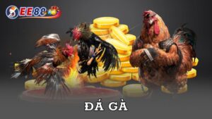 Đá Gà EE88 – Giải Trí Trực Tuyến Đầy Hấp Dẫn Ngay Tại Nhà