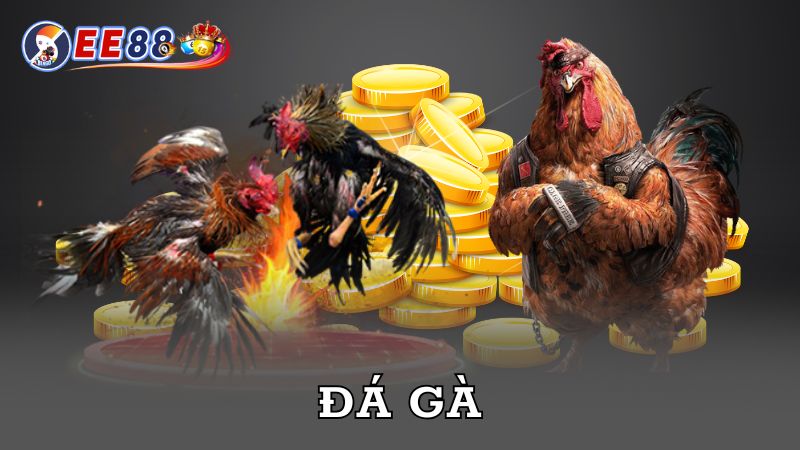 Tổng quan về đá gà EE88