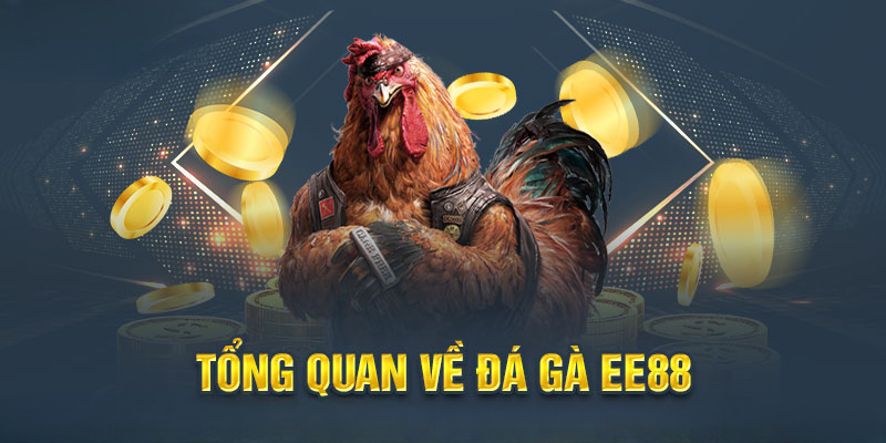 Khám phá các loại hình chọi gà nổi bật tại đá gà EE88
